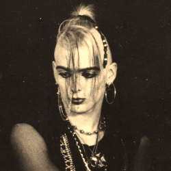 C.J. REBEL