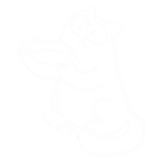 Kitten